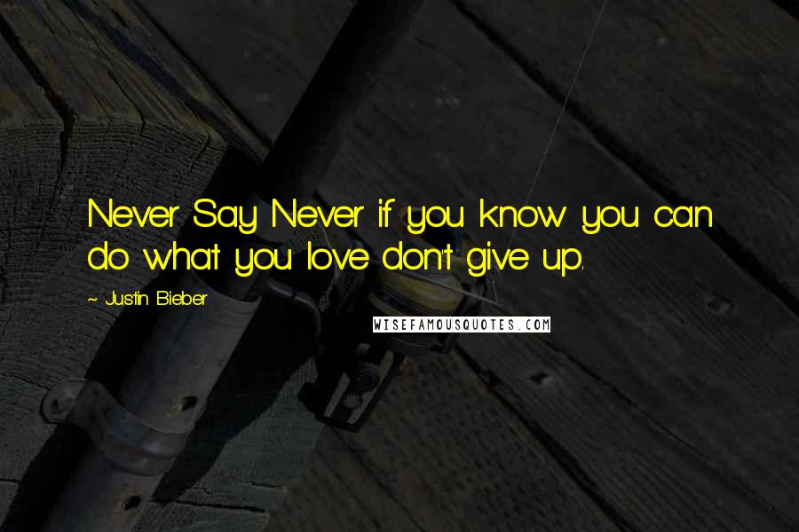 Justin Bieber quotes: Never Say Never if you know you can do what you love don't give up.