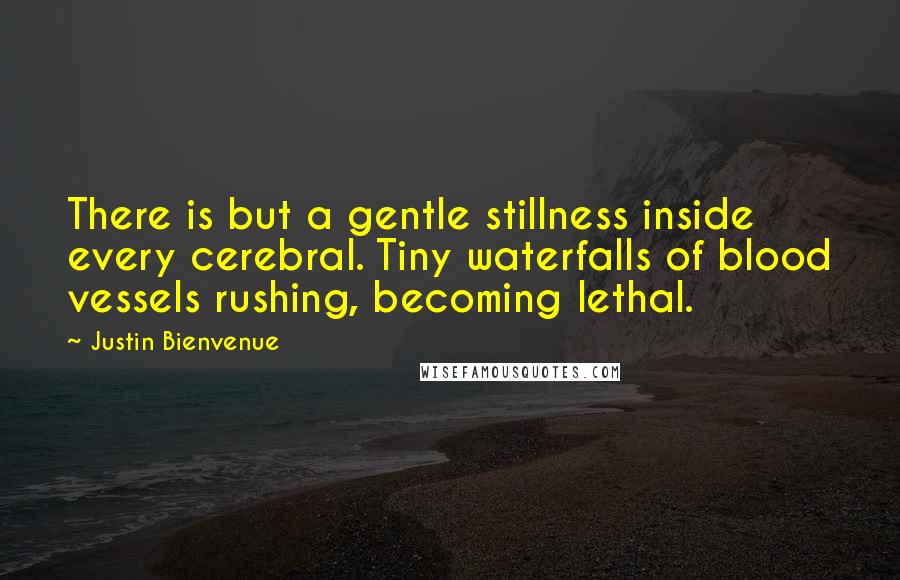 Justin Bienvenue quotes: There is but a gentle stillness inside every cerebral. Tiny waterfalls of blood vessels rushing, becoming lethal.