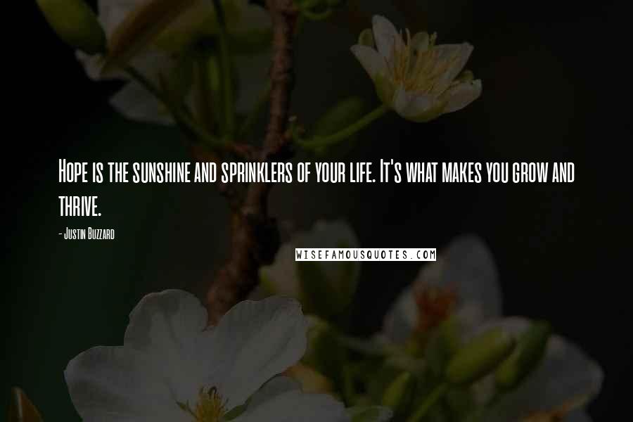 Justin Buzzard quotes: Hope is the sunshine and sprinklers of your life. It's what makes you grow and thrive.