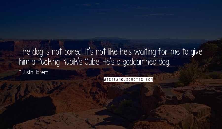Justin Halpern quotes: The dog is not bored. It's not like he's waiting for me to give him a fucking Rubik's Cube. He's a goddamned dog.