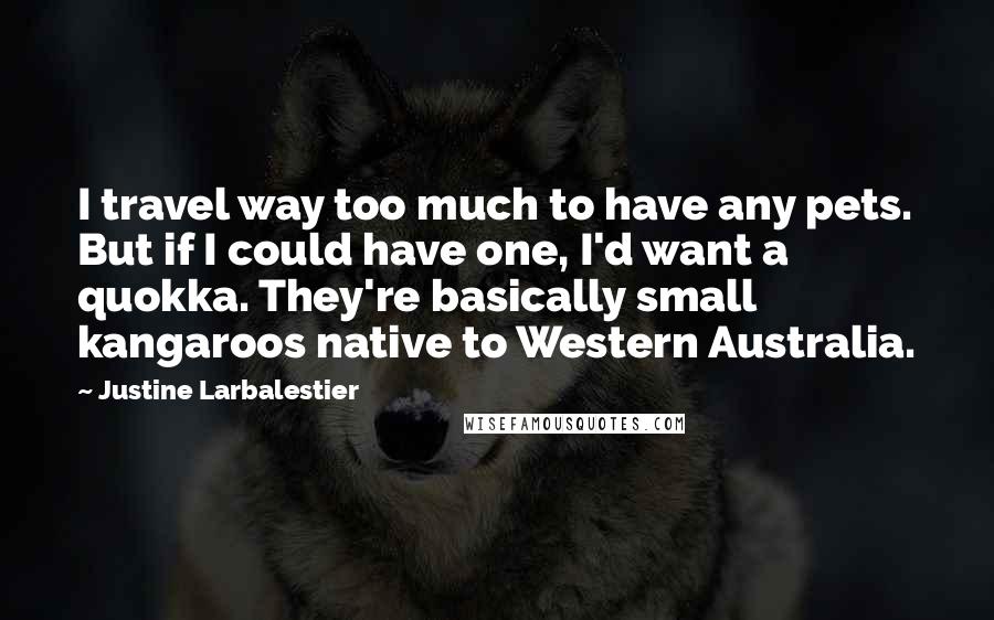 Justine Larbalestier quotes: I travel way too much to have any pets. But if I could have one, I'd want a quokka. They're basically small kangaroos native to Western Australia. Justine Larbalestier quotes: I travel way too much to have any pets. But if I could have one, I'd want a quokka. They're basically small kangaroos native to Western Australia.