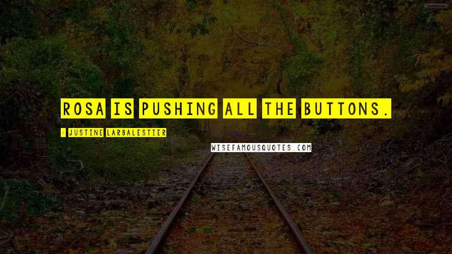 Justine Larbalestier quotes: Rosa is pushing all the buttons.