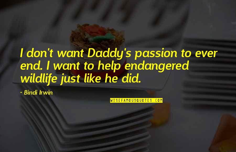 Just's Quotes By Bindi Irwin: I don't want Daddy's passion to ever end. Just's Quotes By Bindi Irwin: I don't want Daddy's passion to ever end.