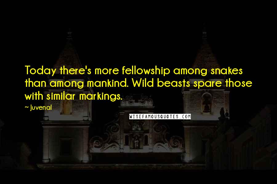 Juvenal quotes: Today there's more fellowship among snakes than among mankind. Wild beasts spare those with similar markings.