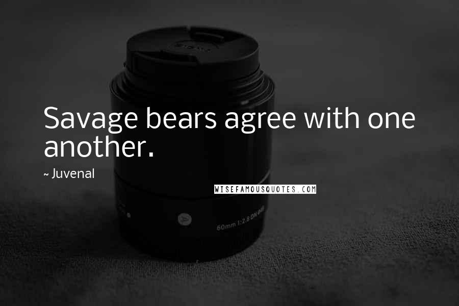 Juvenal quotes: Savage bears agree with one another.