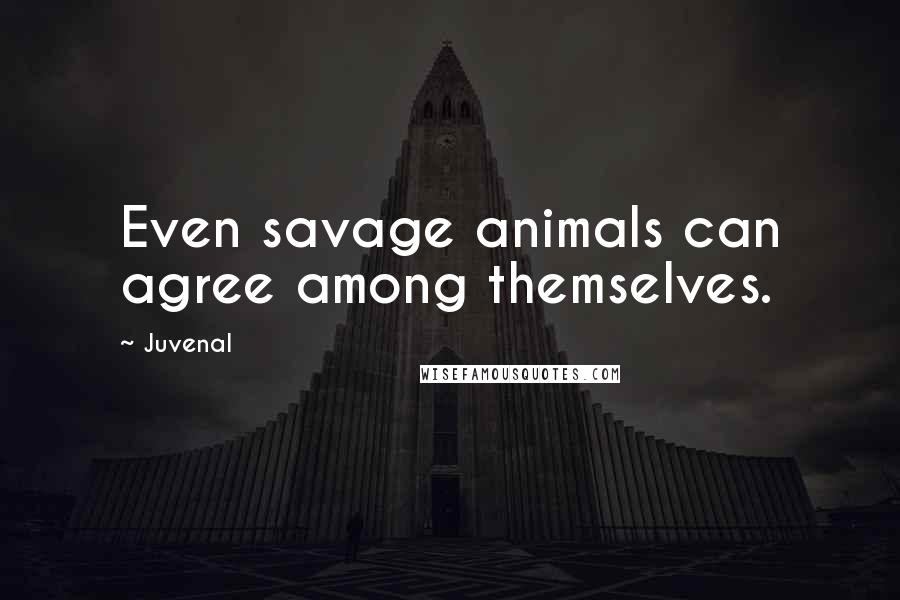 Juvenal quotes: Even savage animals can agree among themselves.