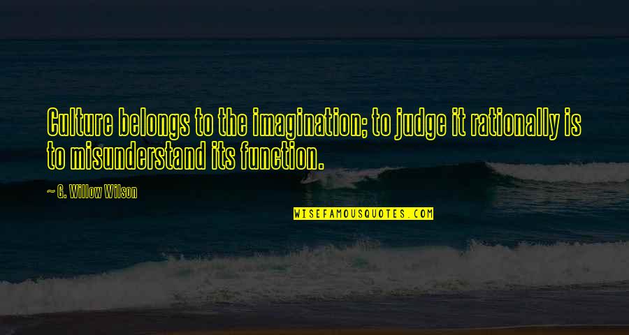 Juvies Near Quotes By G. Willow Wilson: Culture belongs to the imagination; to judge it