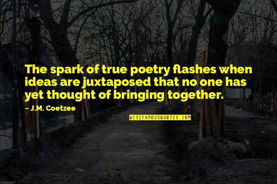 Juxtaposed Quotes By J.M. Coetzee: The spark of true poetry flashes when ideas