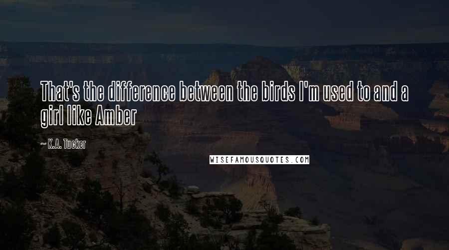 K.A. Tucker quotes: That's the difference between the birds I'm used to and a girl like Amber