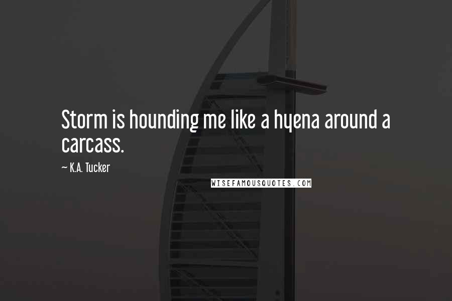 K.A. Tucker quotes: Storm is hounding me like a hyena around a carcass.