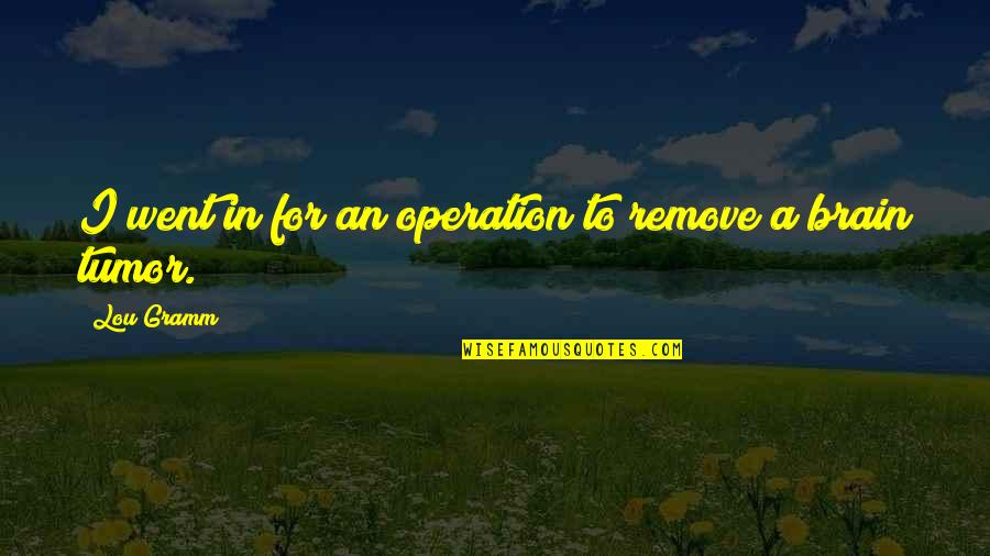 K Drama Sad Quotes By Lou Gramm: I went in for an operation to remove