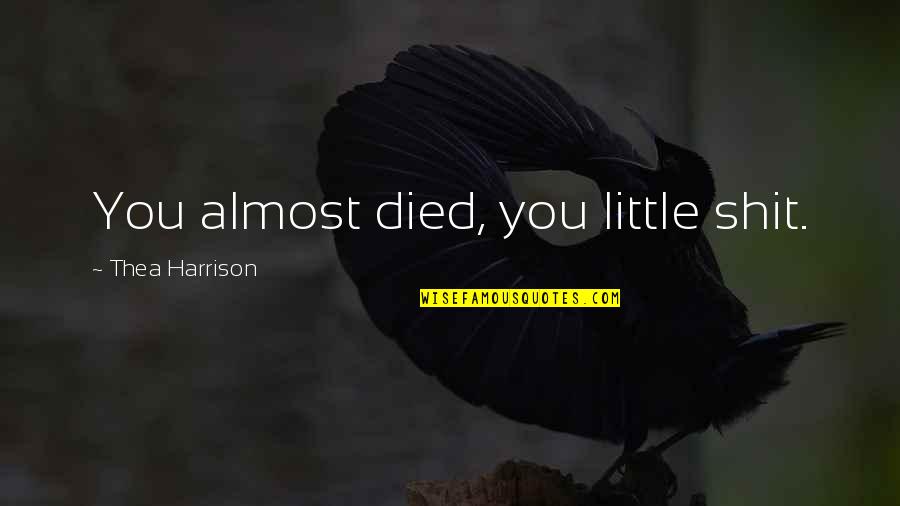 K Harrison Quotes By Thea Harrison: You almost died, you little shit. K Harrison Quotes By Thea Harrison: You almost died, you little shit.