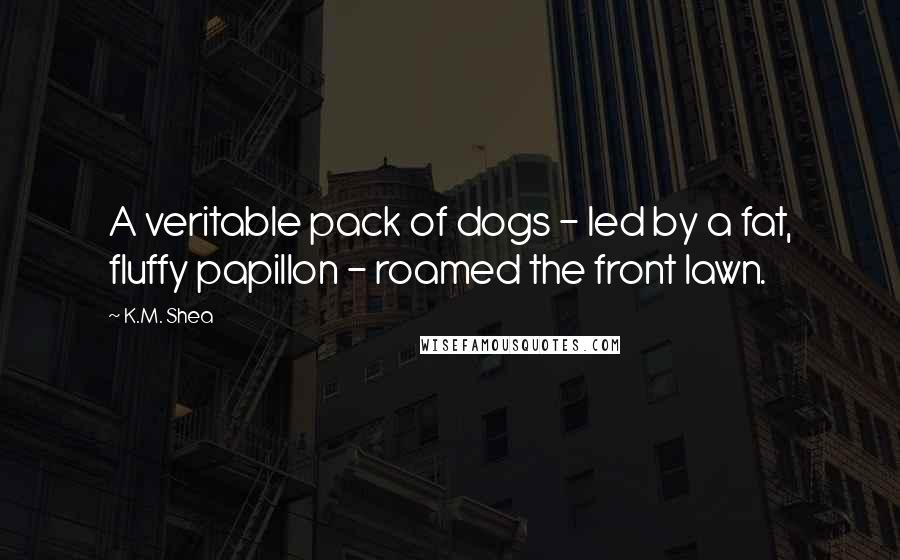 K.M. Shea quotes: A veritable pack of dogs - led by a fat, fluffy papillon - roamed the front lawn.