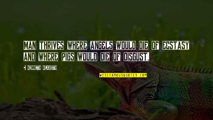 K Rexroth Quotes By Kenneth Rexroth: Man thrives where angels would die of ecstasy K Rexroth Quotes By Kenneth Rexroth: Man thrives where angels would die of ecstasy