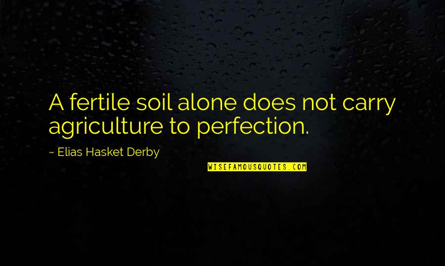 K S Narasimha Swamy Quotes By Elias Hasket Derby: A fertile soil alone does not carry agriculture