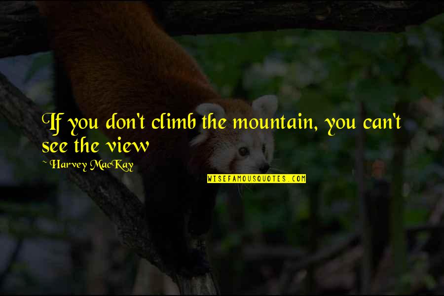 Kaartjes Drukken Quotes By Harvey MacKay: If you don't climb the mountain, you can't