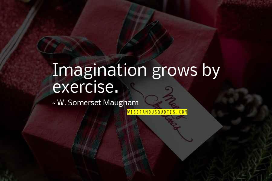 Kabaal Synoniem Quotes By W. Somerset Maugham: Imagination grows by exercise.