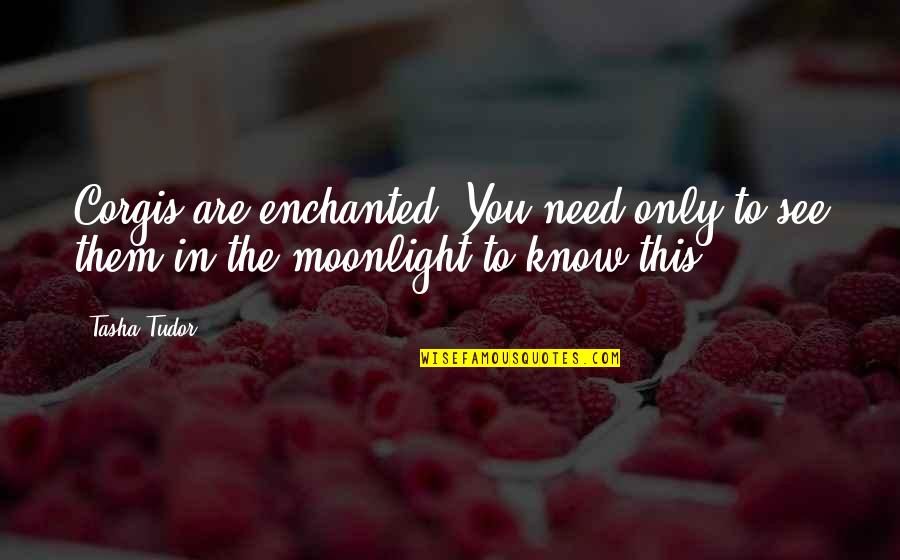 Kabanova Gora Quotes By Tasha Tudor: Corgis are enchanted. You need only to see