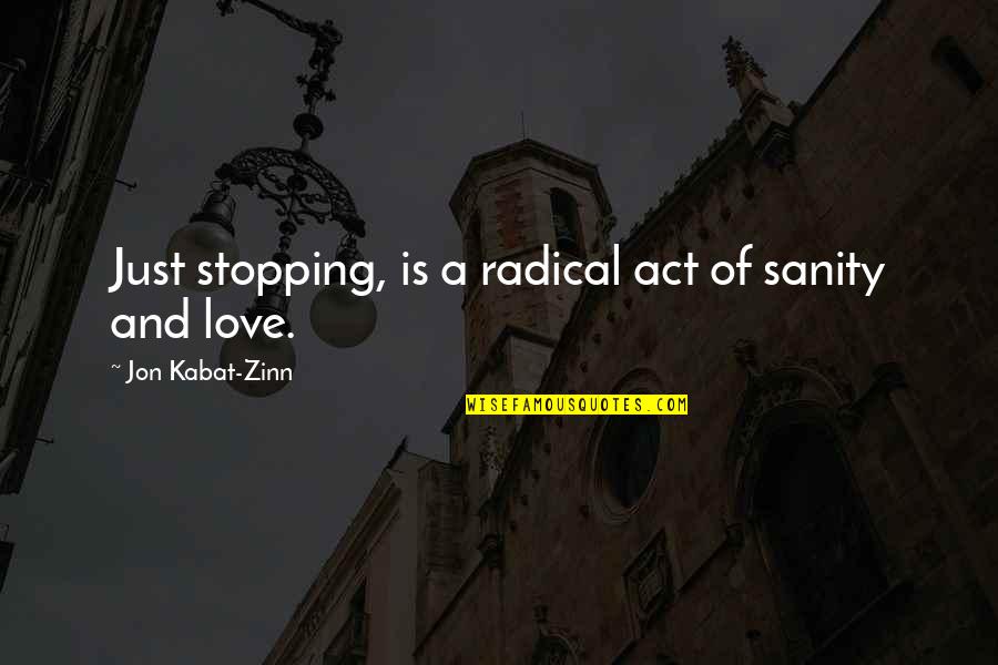 Kabat Zinn Quotes By Jon Kabat-Zinn: Just stopping, is a radical act of sanity