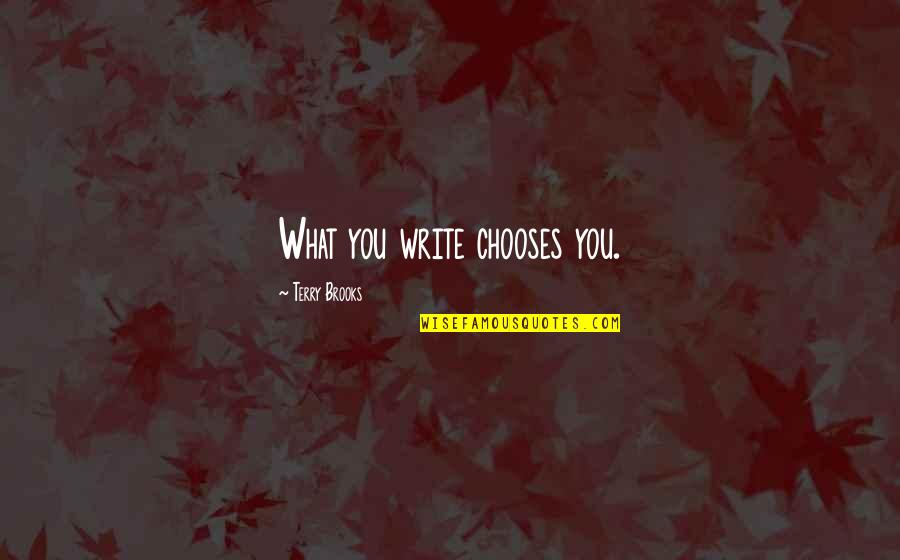 Kabeer Das Quotes By Terry Brooks: What you write chooses you.