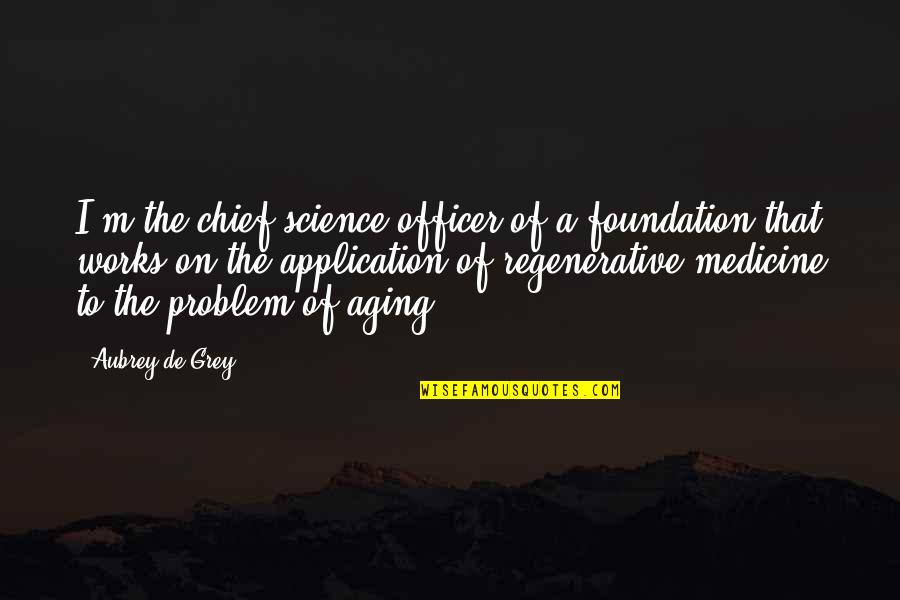 Kabler Automotive Temple Quotes By Aubrey De Grey: I'm the chief science officer of a foundation