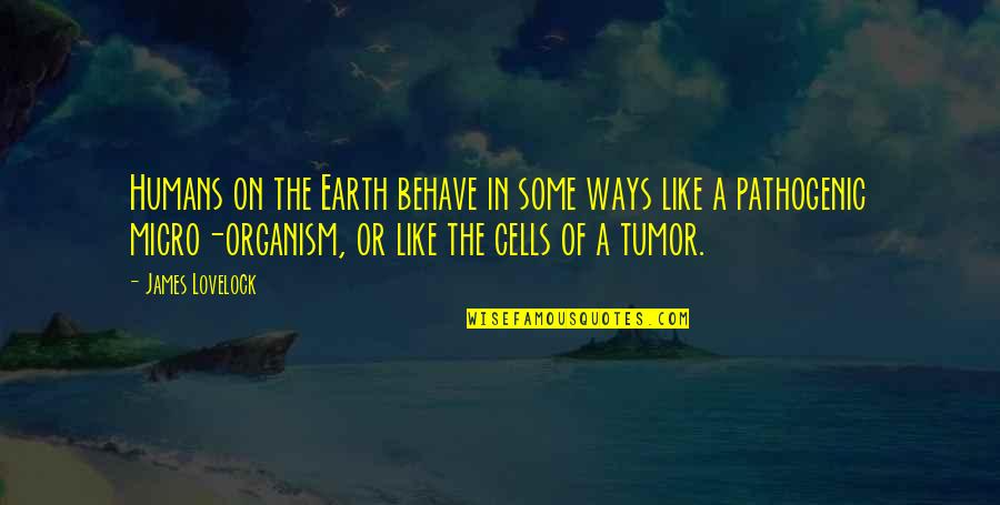 Kaczmarek Carly Quotes By James Lovelock: Humans on the Earth behave in some ways Kaczmarek Carly Quotes By James Lovelock: Humans on the Earth behave in some ways