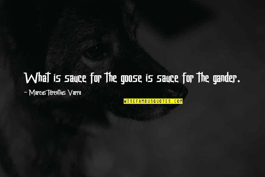 Kaczor Cpa Quotes By Marcus Terentius Varro: What is sauce for the goose is sauce Kaczor Cpa Quotes By Marcus Terentius Varro: What is sauce for the goose is sauce