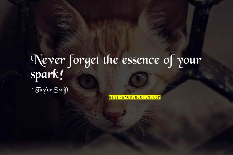 Kadam Quotes By Taylor Swift: Never forget the essence of your spark! Kadam Quotes By Taylor Swift: Never forget the essence of your spark!