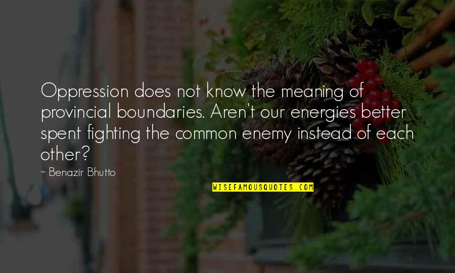 Kaden Knight Quotes By Benazir Bhutto: Oppression does not know the meaning of provincial Kaden Knight Quotes By Benazir Bhutto: Oppression does not know the meaning of provincial
