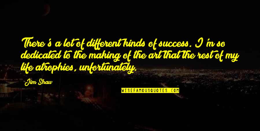 Kafamdaketsel Quotes By Jim Shaw: There's a lot of different kinds of success.
