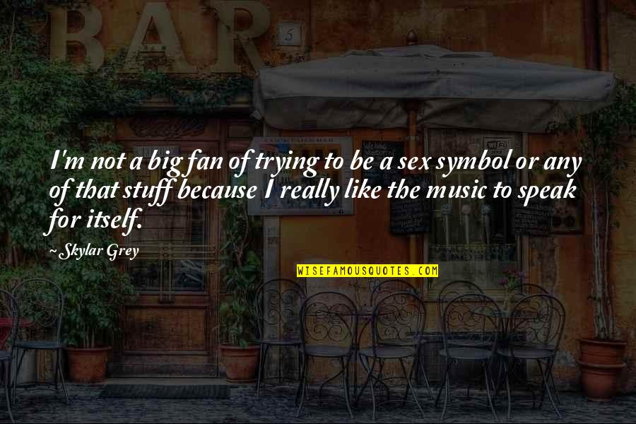 Kafelnikov Alesya Quotes By Skylar Grey: I'm not a big fan of trying to