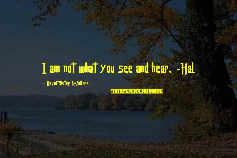 Kaffisel Quotes By David Foster Wallace: I am not what you see and hear.