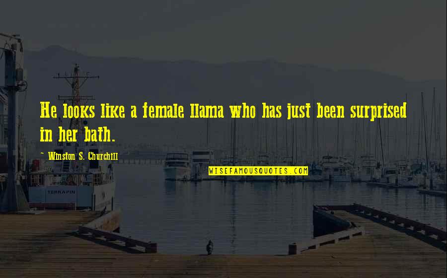 Kahkaha Emojileri Quotes By Winston S. Churchill: He looks like a female llama who has