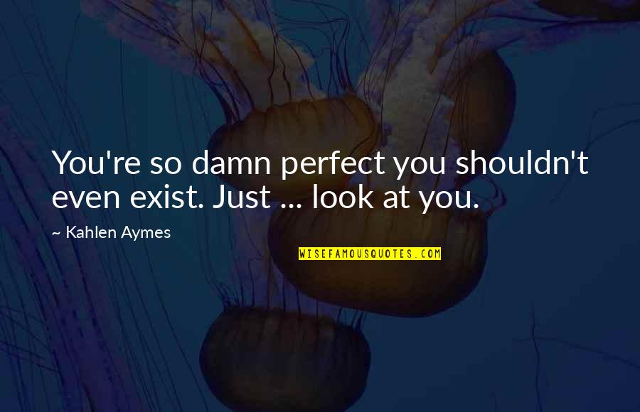 Kahlen Aymes Quotes By Kahlen Aymes: You're so damn perfect you shouldn't even exist.