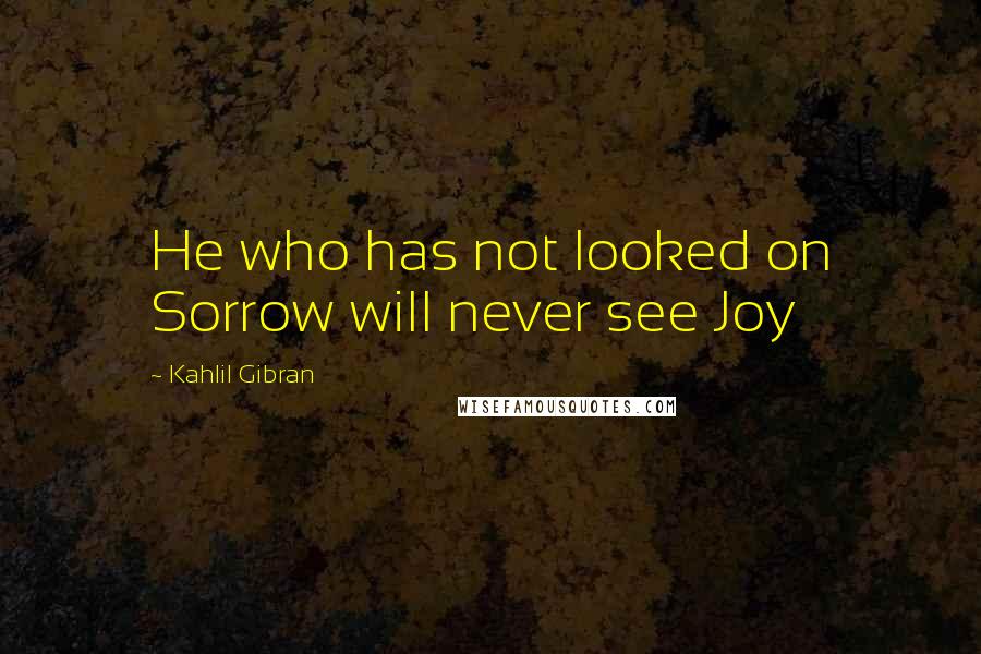 Kahlil Gibran quotes: He who has not looked on Sorrow will never see Joy