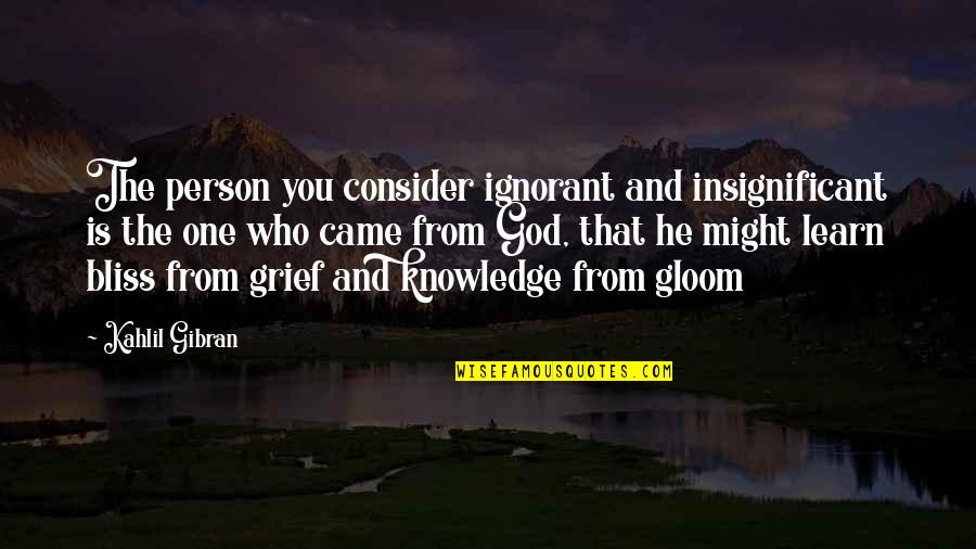 Kahlil Quotes By Kahlil Gibran: The person you consider ignorant and insignificant is