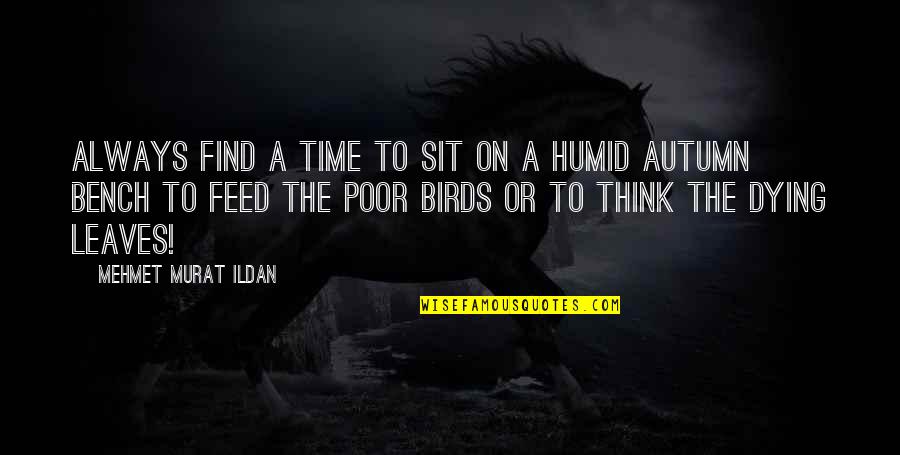 Kahoru Ny Quotes By Mehmet Murat Ildan: Always find a time to sit on a Kahoru Ny Quotes By Mehmet Murat Ildan: Always find a time to sit on a
