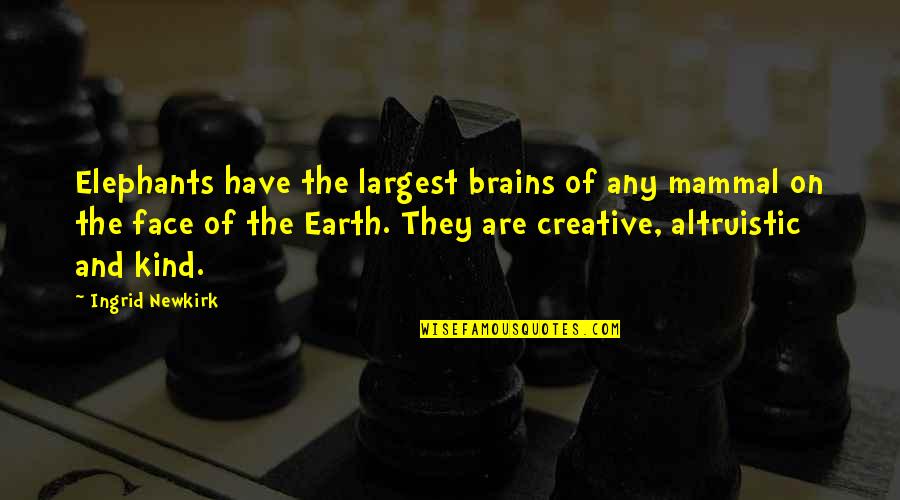 Kahwaty Ethnicity Quotes By Ingrid Newkirk: Elephants have the largest brains of any mammal Kahwaty Ethnicity Quotes By Ingrid Newkirk: Elephants have the largest brains of any mammal