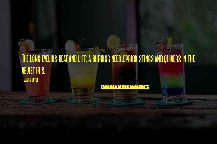 Kaileigh Schmidt Quotes By James Joyce: The long eyelids beat and lift: a burning Kaileigh Schmidt Quotes By James Joyce: The long eyelids beat and lift: a burning