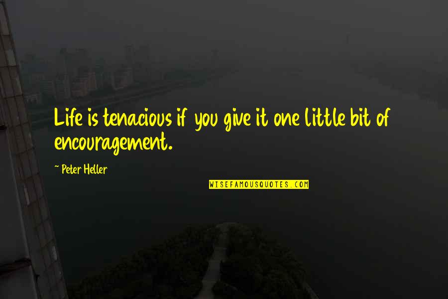 Kaior Sweat Quotes By Peter Heller: Life is tenacious if you give it one