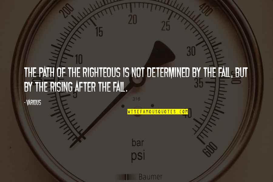 Kaitlyns Law Quotes By Various: The path of the righteous is not determined