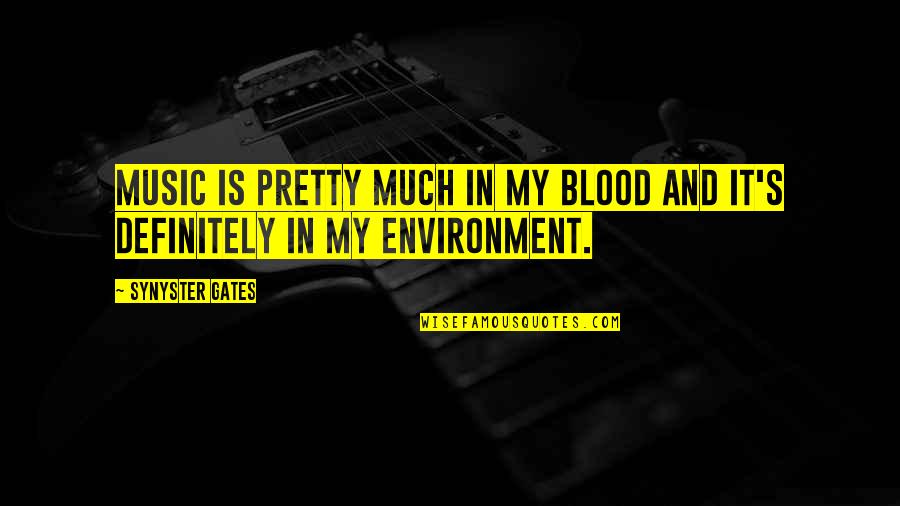 Kaito Daimon Quotes By Synyster Gates: Music is pretty much in my blood and