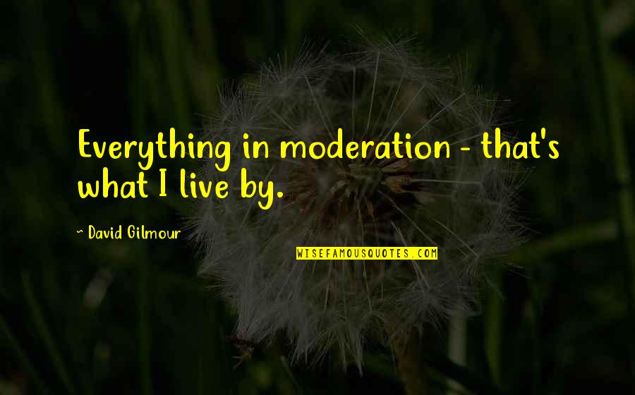 Kaiulani Almeida Quotes By David Gilmour: Everything in moderation - that's what I live Kaiulani Almeida Quotes By David Gilmour: Everything in moderation - that's what I live