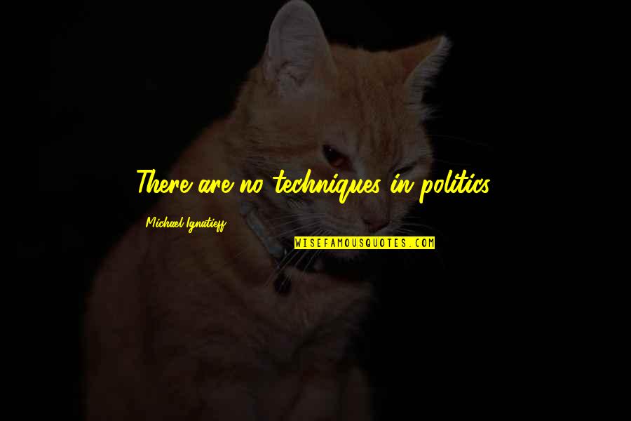 Kajanje Tema Quotes By Michael Ignatieff: There are no techniques in politics.