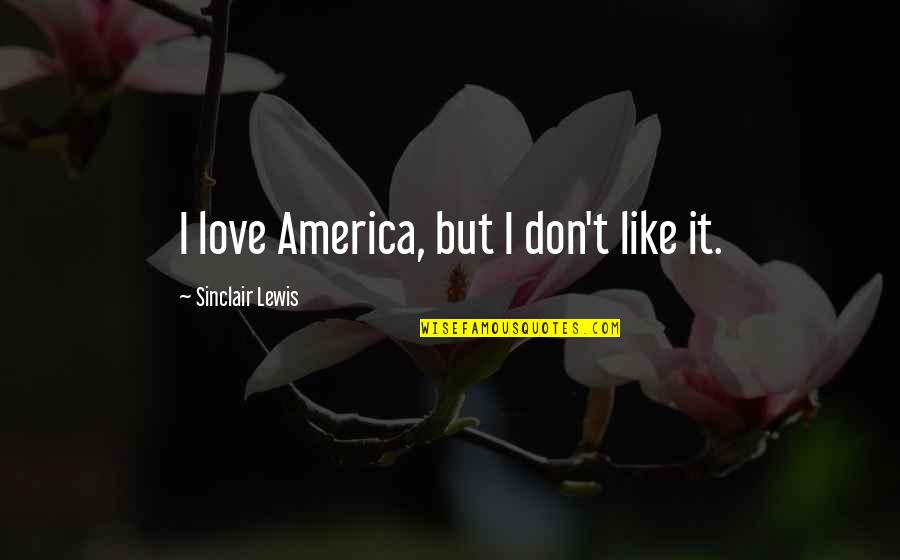 Kajety Polska Quotes By Sinclair Lewis: I love America, but I don't like it.