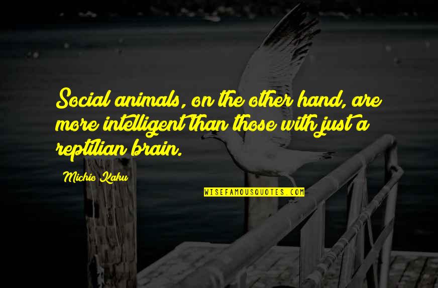 Kaku Michio Quotes By Michio Kaku: Social animals, on the other hand, are more Kaku Michio Quotes By Michio Kaku: Social animals, on the other hand, are more