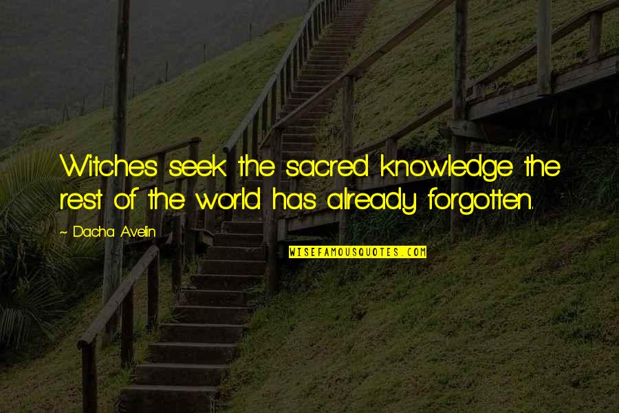 Kalaydjian Md Quotes By Dacha Avelin: Witches seek the sacred knowledge the rest of