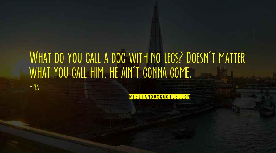 Kalbimden Ben Quotes By Na: What do you call a dog with no