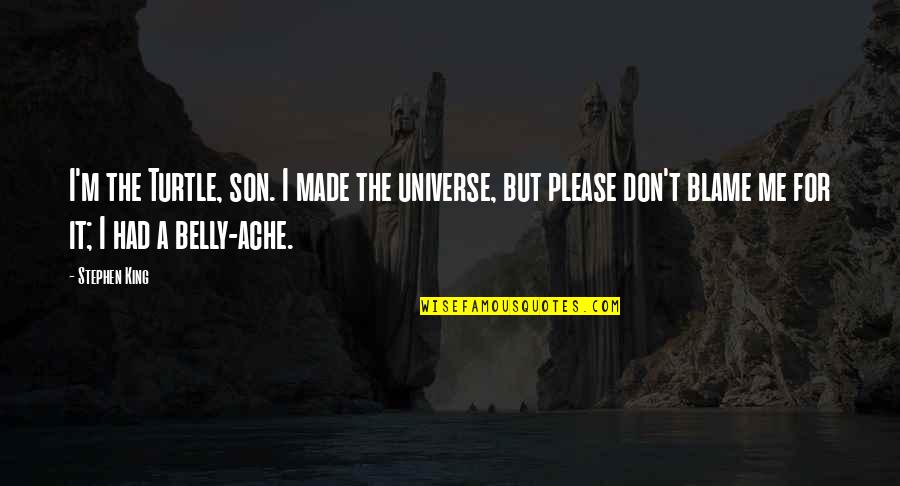 Kaleikini Hawaiian Quotes By Stephen King: I'm the Turtle, son. I made the universe,