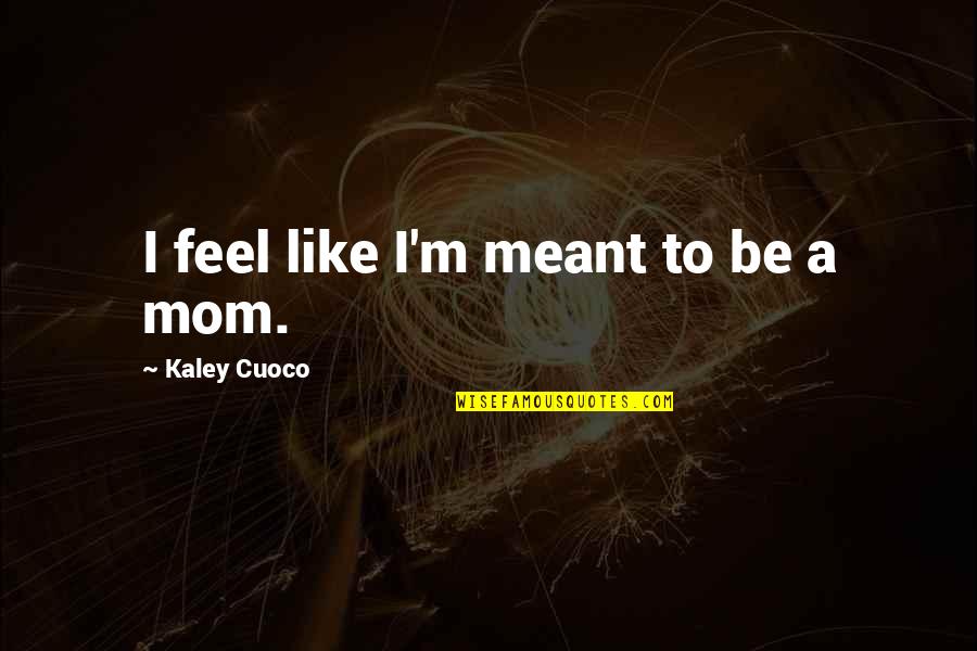 Kaley Quotes By Kaley Cuoco: I feel like I'm meant to be a Kaley Quotes By Kaley Cuoco: I feel like I'm meant to be a